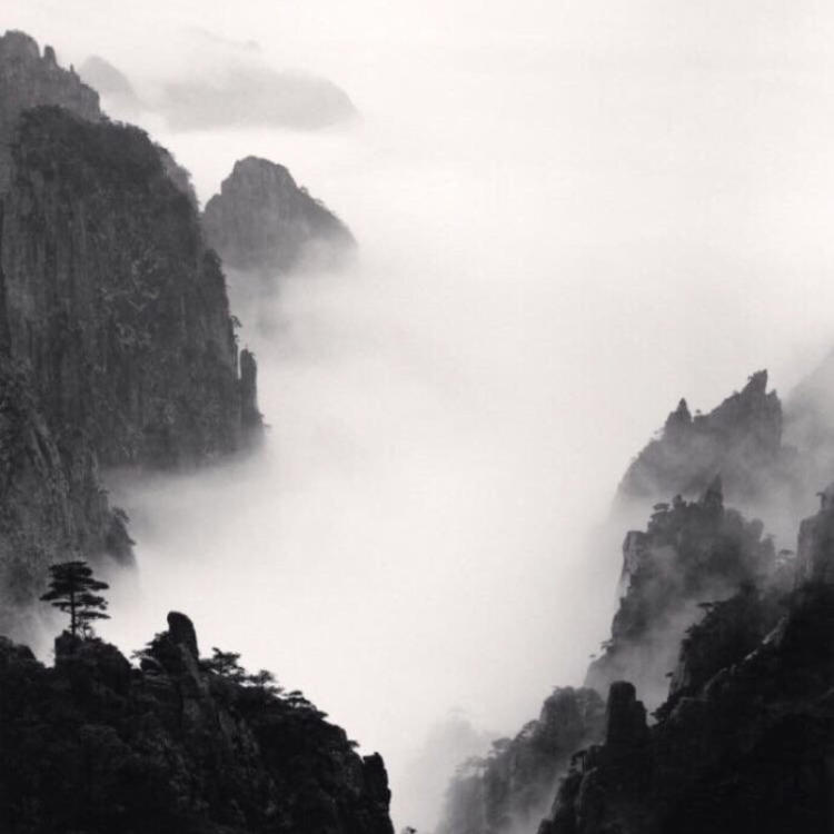 松尾谕（饰 未知角色） - 短剧分集全集在线观看 - 在线看剧